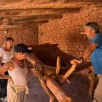 Ruta del Adobe con Tinogasta Aventura