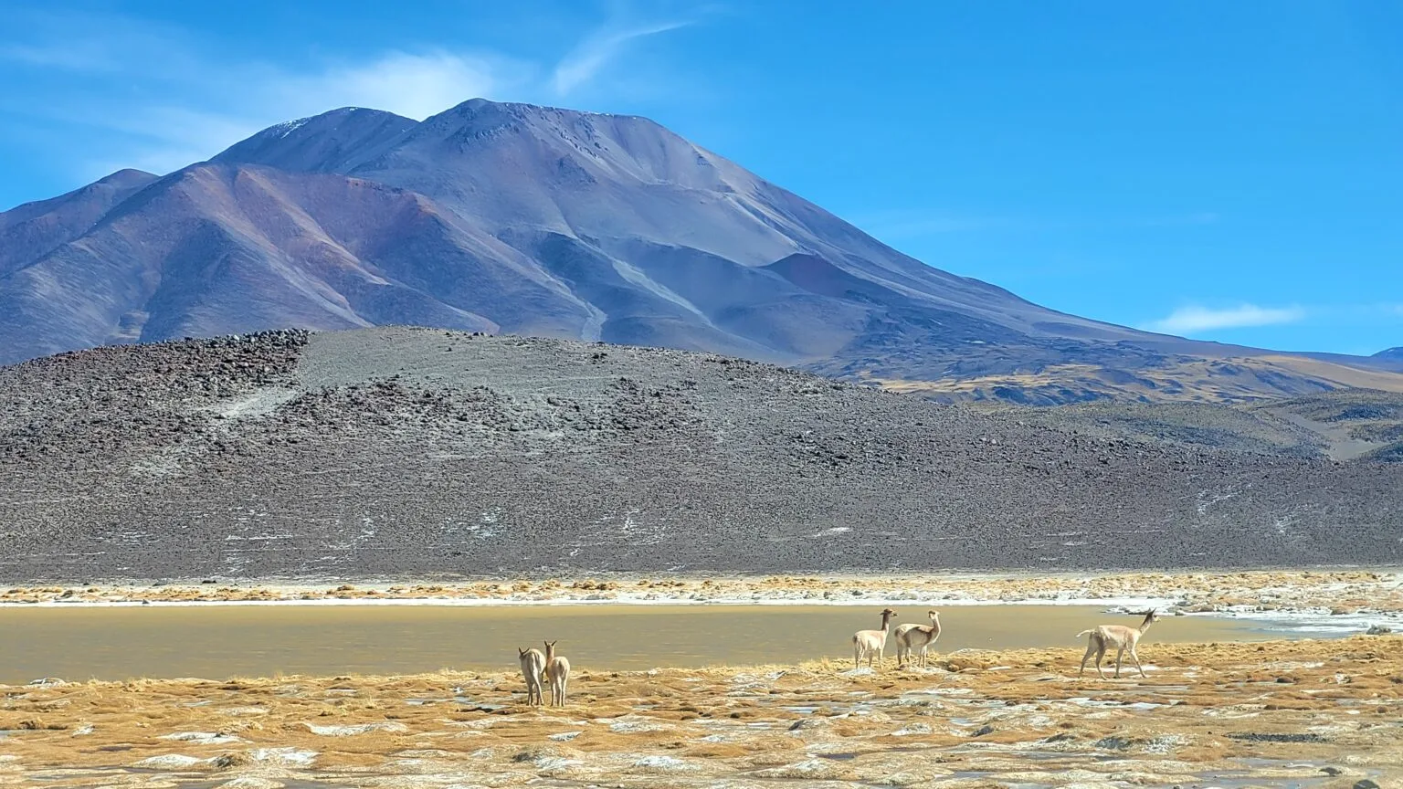 Excursión con Tinogasta Aventura